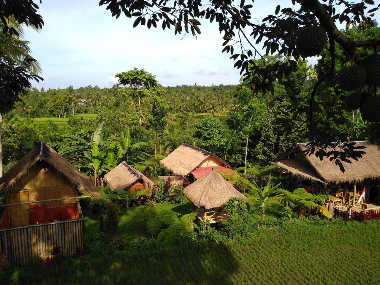 Tetebatu Sama Sama Bungalows المظهر الخارجي الصورة