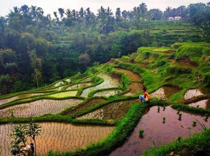 Tetebatu Sama Sama Bungalows المظهر الخارجي الصورة